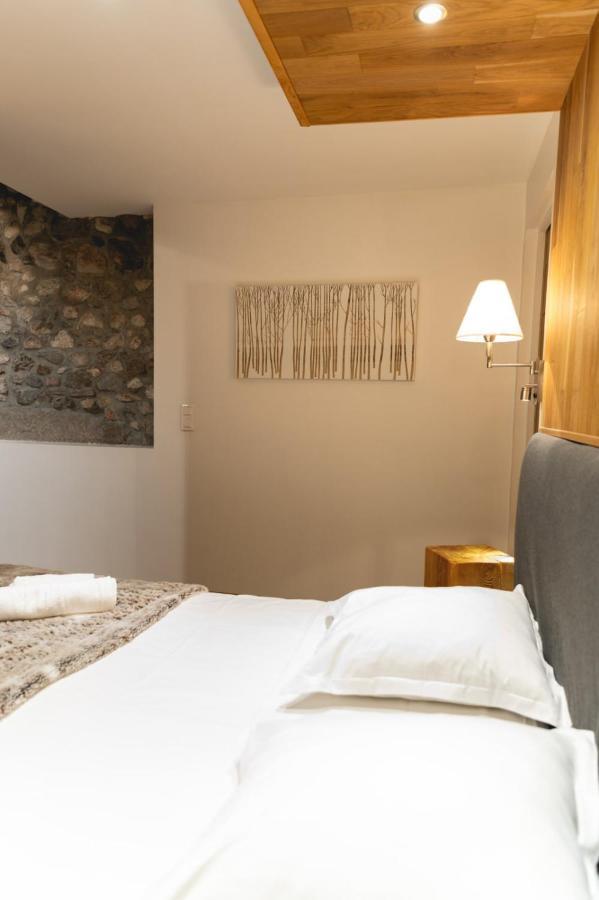 La Cour Filaterie - Suite Au D'Annecy Pdj En Option Buitenkant foto